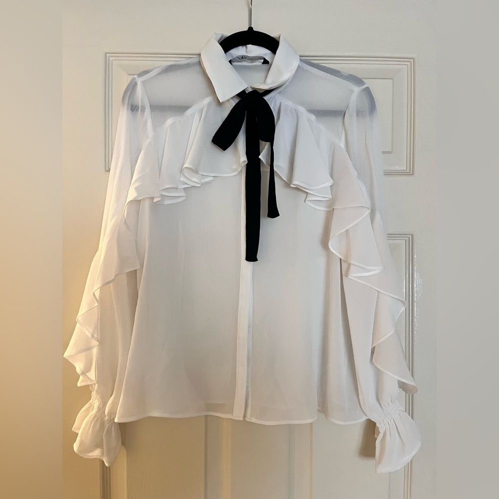 Zara sheer collared blouse